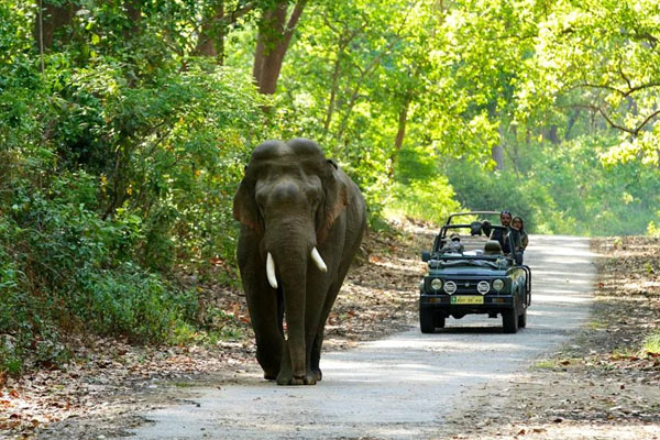 ranthambore tour