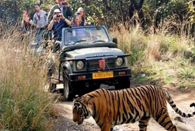 ranthambore tour